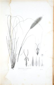 n302_w1150