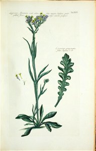 n208_w1150