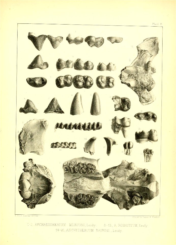 n154_w1150