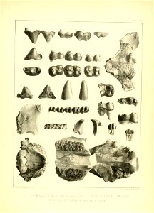 n154_w1150