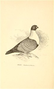 n253_w1150