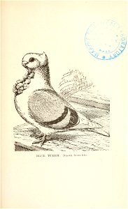 n156_w1150