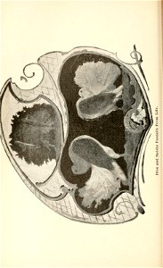 n119_w1150