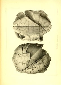 n180_w1150