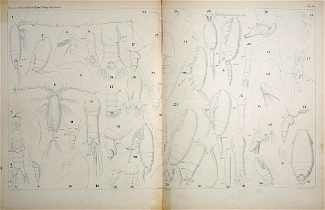 n276_w1150
