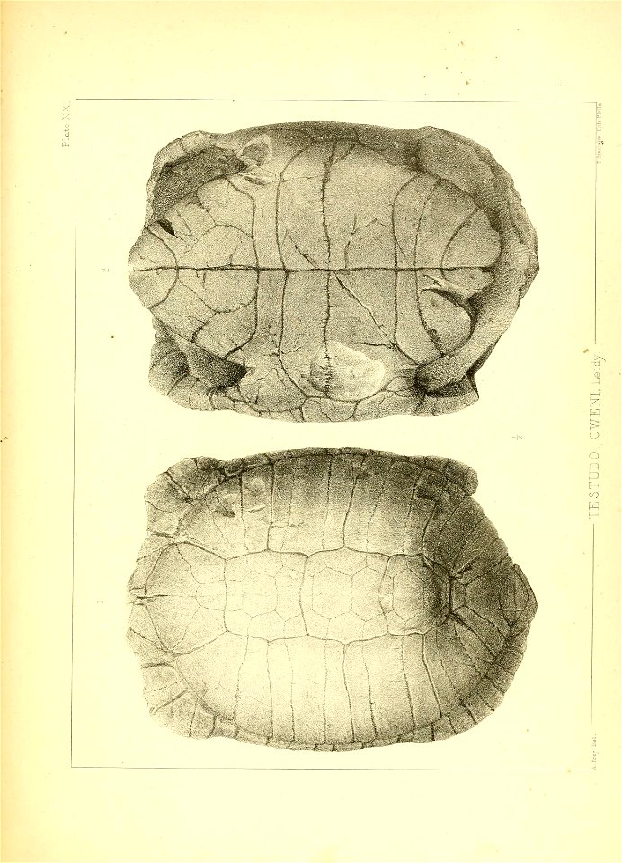 n176_w1150