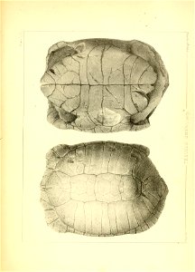 n176_w1150