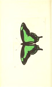 n95_w1150