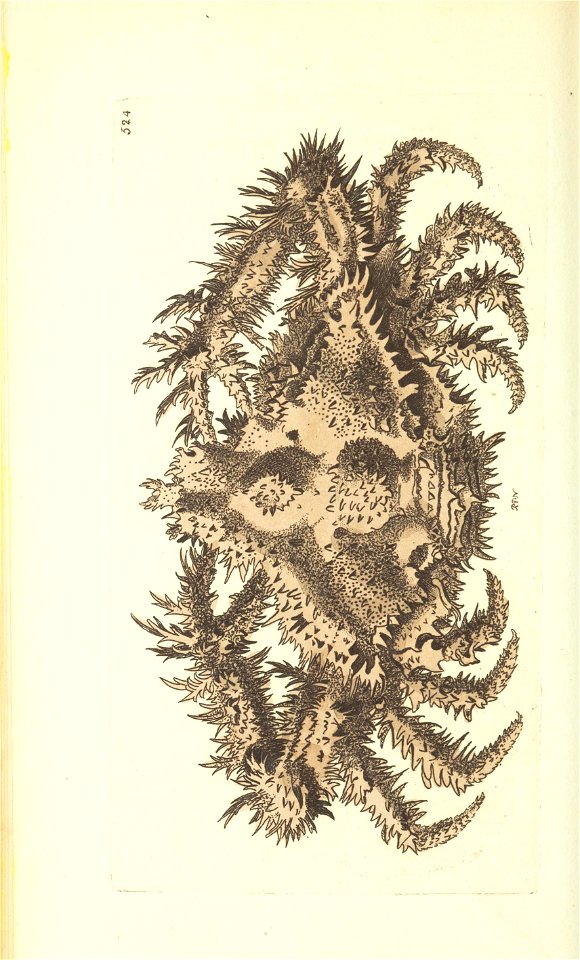n197_w1150