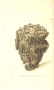 n118_w1150