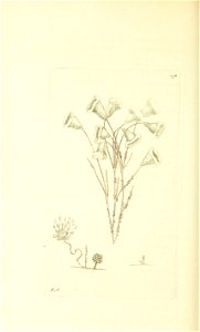 n143_w1150