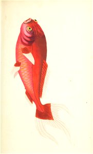 n50_w1150
