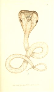 n216_w1150