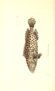 n215_w1150