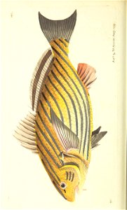 n117_w1150