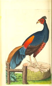 n137_w1150