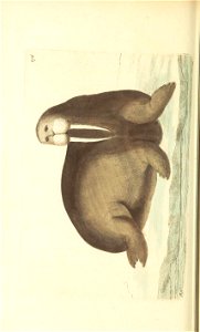 n127_w1150