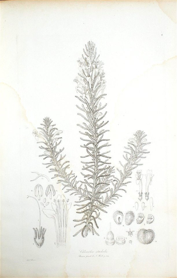 n22_w1150