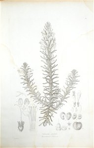 n22_w1150