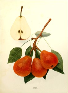 n368_w1150