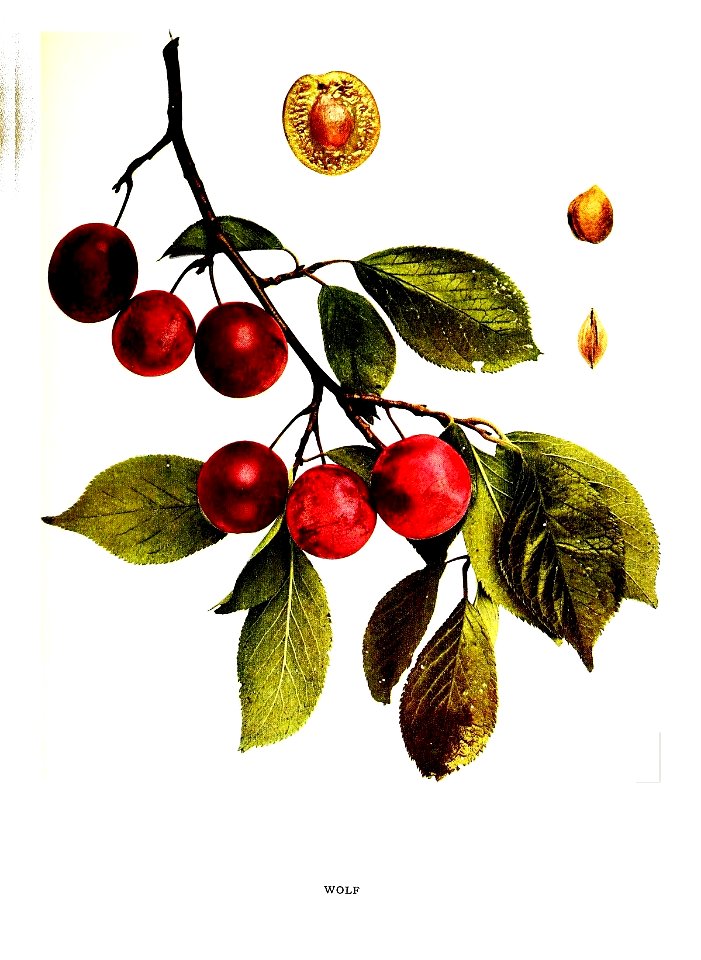 n592_w1150