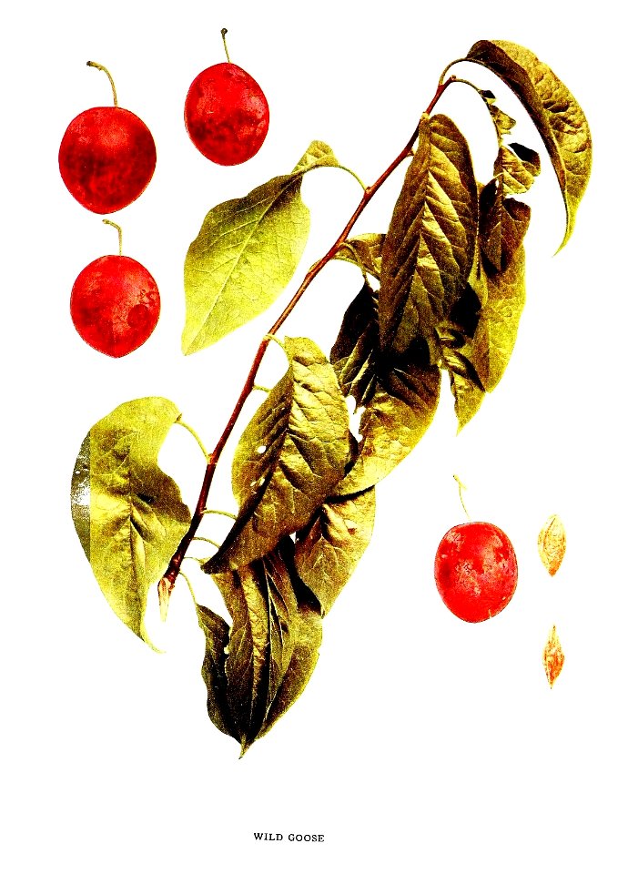 n588_w1150