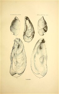 n122_w1150