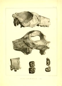 n152_w1150
