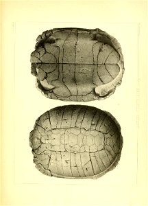 n178_w1150