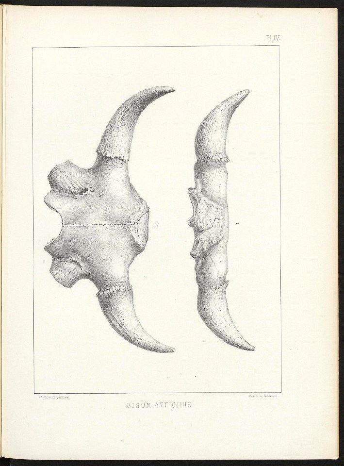 n281_w1150