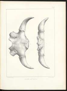 n281_w1150
