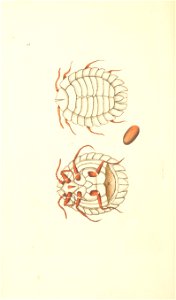 n223_w1150