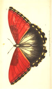 n138_w1150
