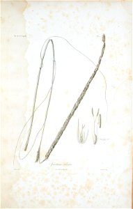 n286_w1150