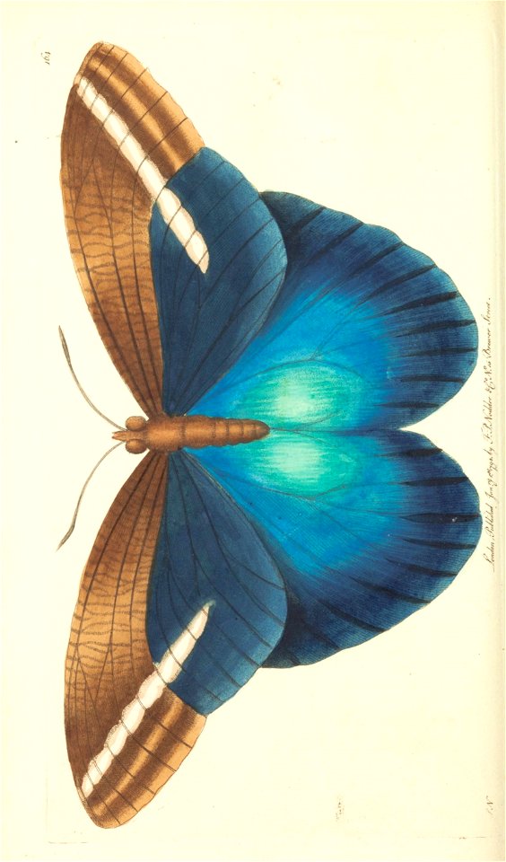 n120_w1150