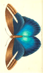 n120_w1150