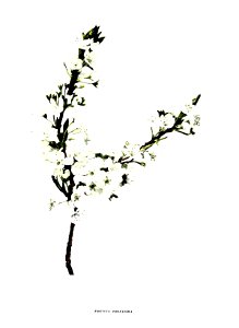 n80_w1150