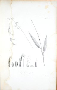 n298_w1150