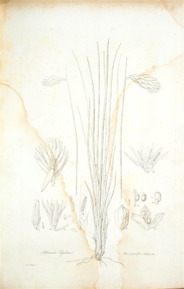 n12_w1150