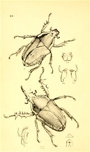 n257_w1150