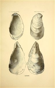 n118_w1150