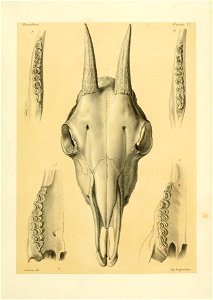 n388_w1150