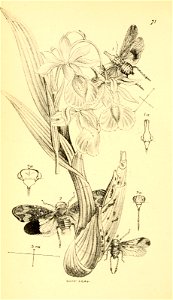 n435_w1150
