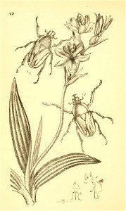 n253_w1150