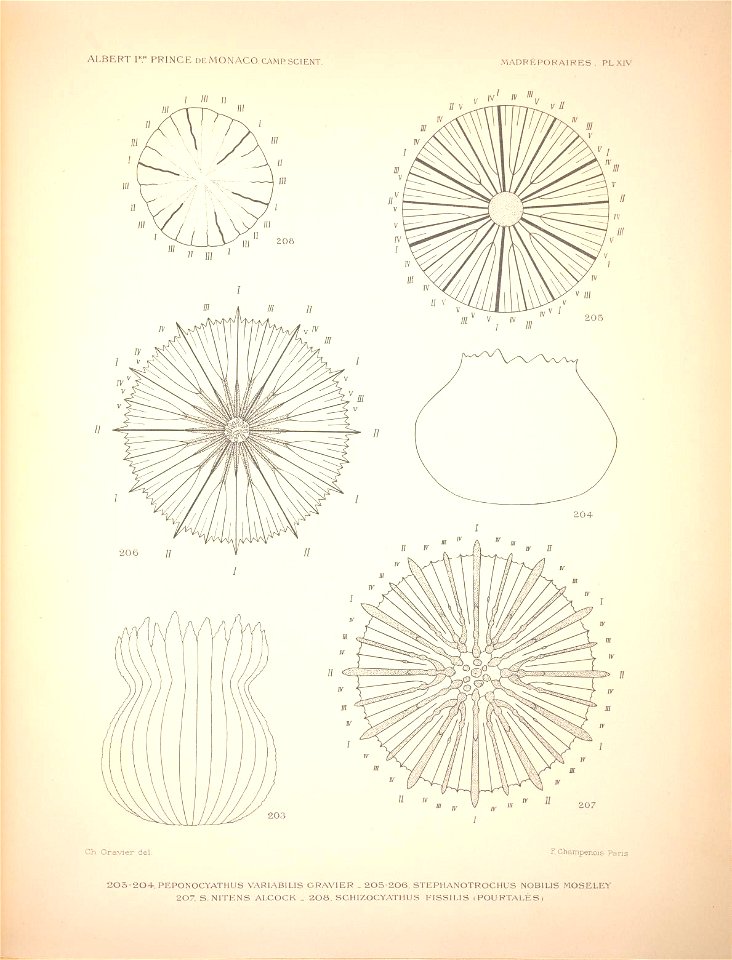 n138_w1150