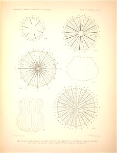 n138_w1150