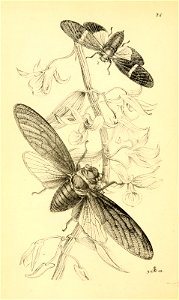 n153_w1150