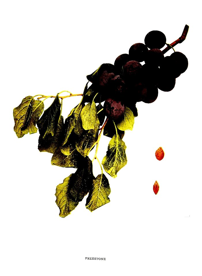n308_w1150