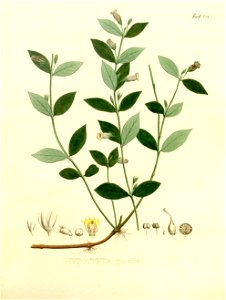 n19_w1150