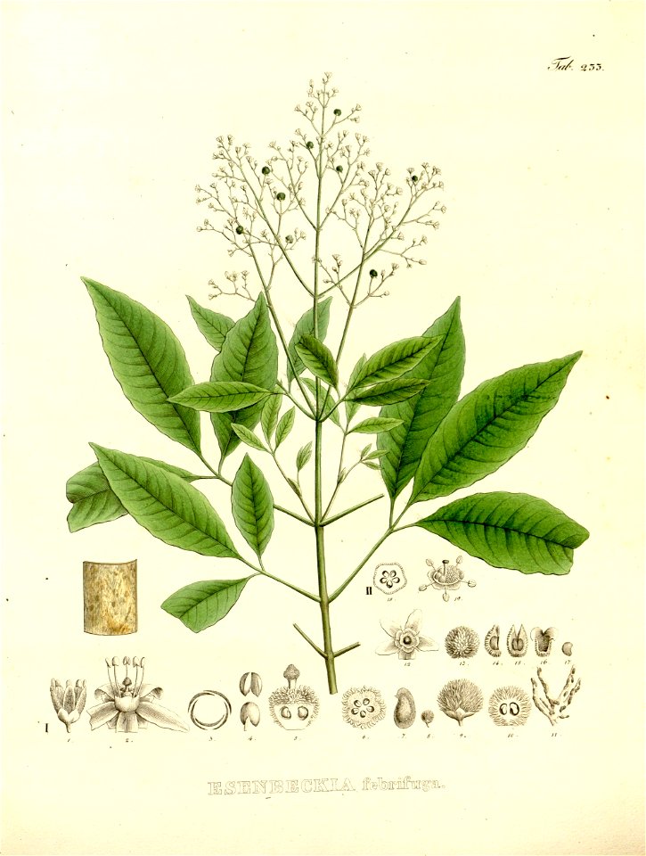 n33_w1150